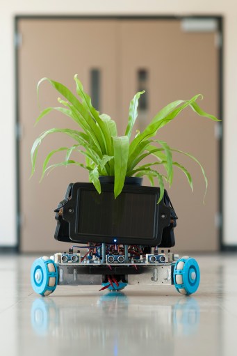 Detail of IndaPlant taken at Rutgers University, June 12, 2014.