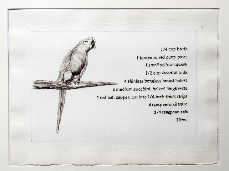 Spix's macaw (Cyanopsitta spixii)