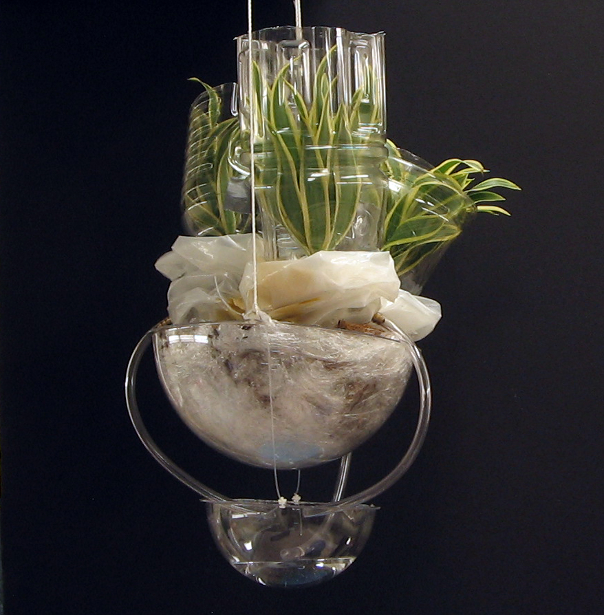 TransporationIMG_8651