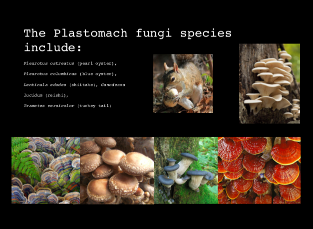 Screen Shot 2019-09-14 at 7.15.59 AM.png