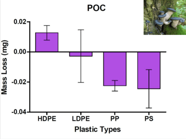 Screen Shot 2019-09-14 at 7.16.29 AM.png