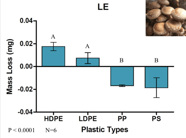 Screen Shot 2019-09-14 at 7.16.42 AM.png