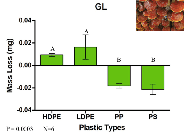 Screen Shot 2019-09-14 at 7.16.55 AM.png