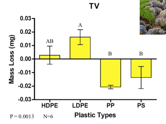 Screen Shot 2019-09-14 at 7.17.11 AM.png